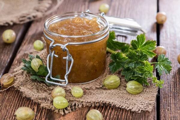 Angrešt na kompot se trhá ještě zelený. Hodí se i do marmelády či na koláč