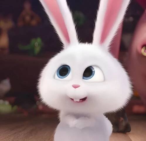 Pin by it's me on My saves | Cute bunny pictures, Cute bunny, Cute animal photos