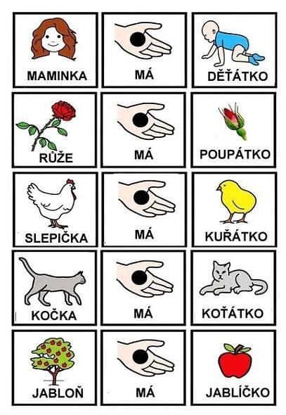an image of different types of animals and their names in english or japanese words with pictures of them