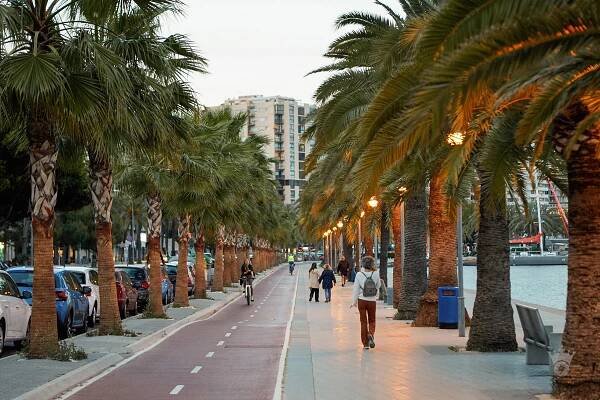 Palma De Mallorca 244