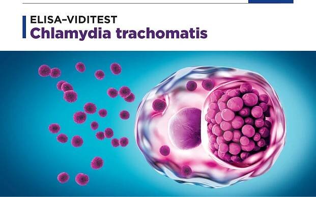 chlamydia trachomatis elisa