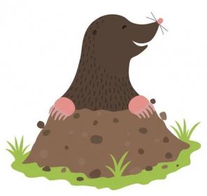 Krtek kopání ze špíny zvířata kreslená postavička — Ilustrace