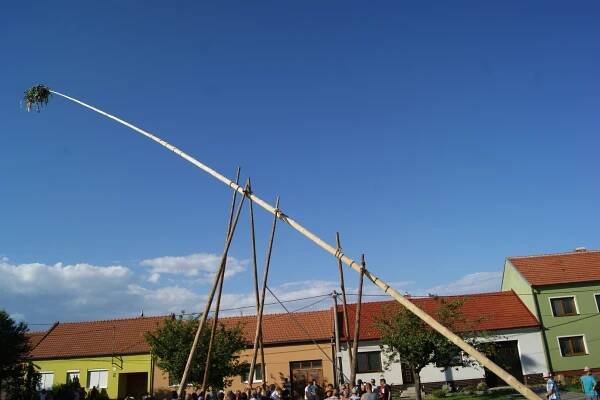 Ruční stavění máje 2016 - Oficiální stránky obce Tvrdonice