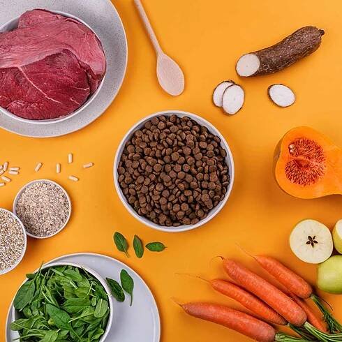 Rufruf Smart & Tasty Granule Hovězí s pohankou3