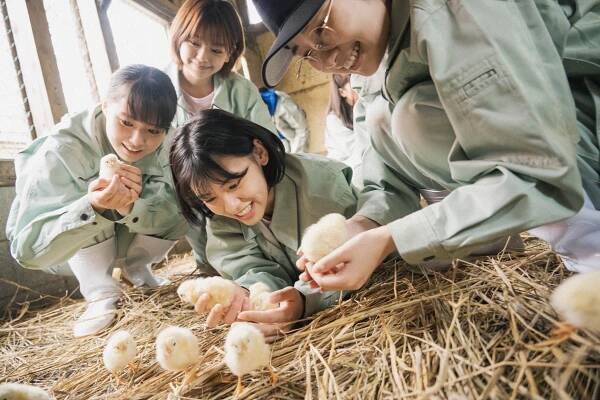 Hijori Katada, Aju Ókuma, Akana Ikeda, Jua Širaiši - 17sai wa Tomaranai - Z filmu