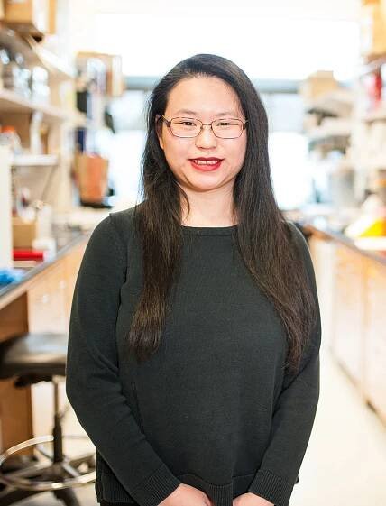 People — Michigan Medicine Translational Tissue Modeling Laboratory