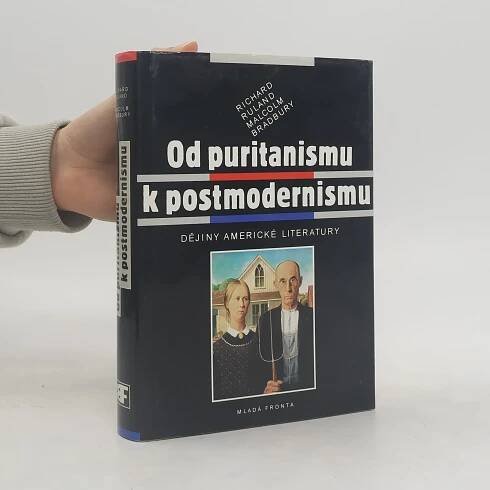 Od puritanismu k postmodernismu : dějiny americké literatury