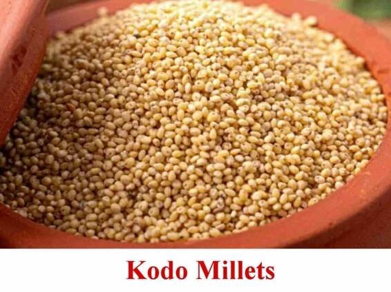 Kodo millet in telugu : అరికెల తో ఆరోగ్య ప్రయోజనాలు - Telugusitara
