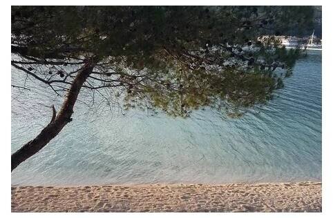 Villa Dube Slano/ villa s bazénem - Slano Chorvatsko