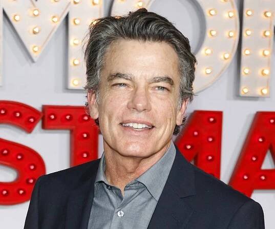 Peter Gallagher Biography - Facts, Childhood, Family Life & Achievements