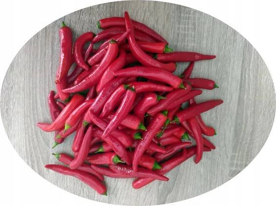 Pepperoni Peperoni Red Červená semínka pálivé chilli papričky pali2razy EAN (GTIN) 5907541382754