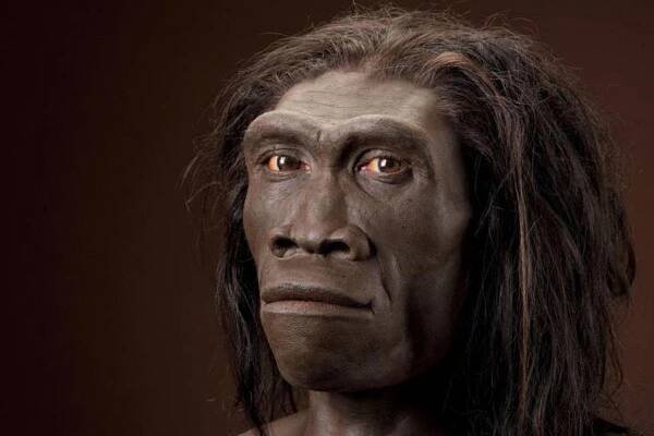 Přečtěte si o původu a evoluci primátů