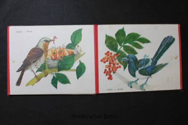 Naše vtáky - Naši ptáci, 1977