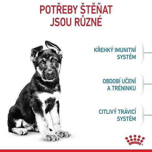 ROYAL CANIN SHN Dog Maxi Puppy 15 kg