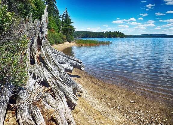 Ontario Profile: ONTARIO PARKS