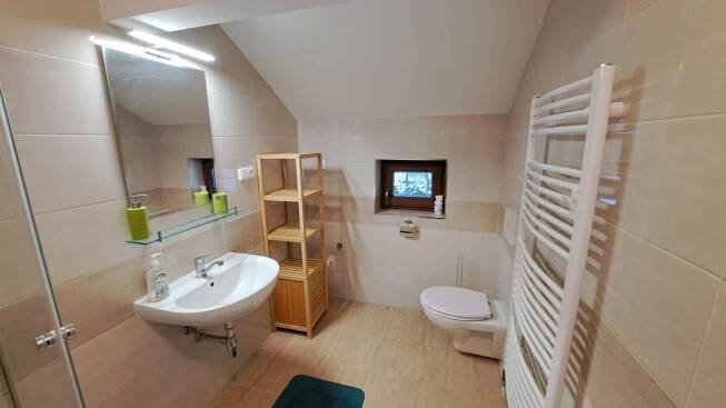 a bathroom with a sink and a toilet and a mirror at Chalupa u Uhříků in Rajnochovice