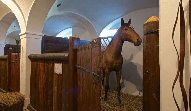 Chateau Stables