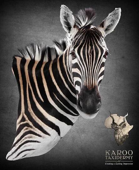 zebra_wall_pedestal_mount.jpg