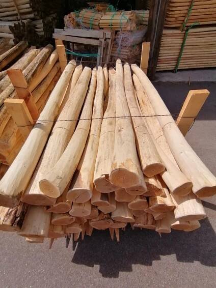 TARTAK MADERAPOL :PALE slupy belki KOROWANE Z AKACIA , chmielowe ,podpory dla siatek przeciwgradowych , 5 m 6m 9m (ROBINIA