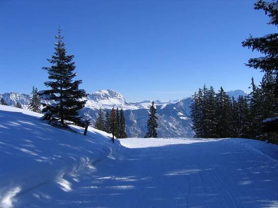 File:"Downhill" skiing Flumserberg - panoramio.jpg