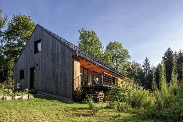Z inspirace stromy. Dřevostavbu v severních Čechách obklopuje les | EARCH.cz