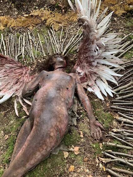 The Chemistry of Death
"Sally" with Swan wings installation