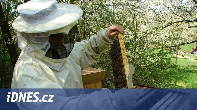 Včelaře trápí nedostatek nektaru i mor, někteří nestočili ani kapku medu - iDNES.cz