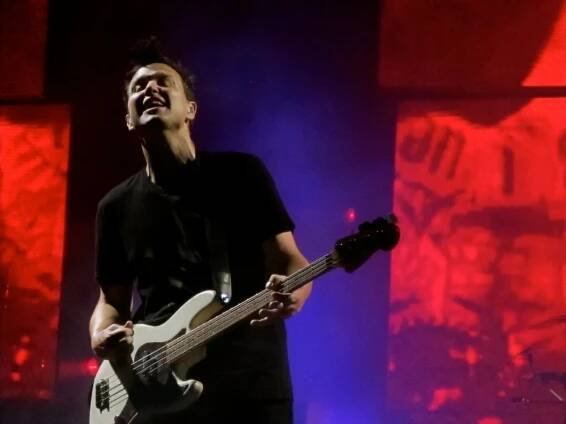 Category:Mark Hoppus - Wikimedia Commons