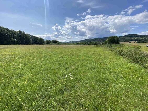 Prodej zemědělských pozemků Hrbov u Lhenic | Reality.iDNES.cz 