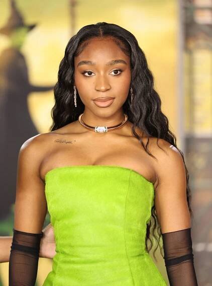 'Wicked' Los Angeles Premiere Photos: Ariana Grande, Cynthia Erivo