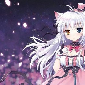 Everything You Need to Know About Anime Cat Girls