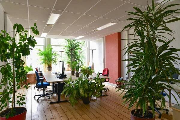 Kantoorruimte huren aan de Singel 160? - Plekky