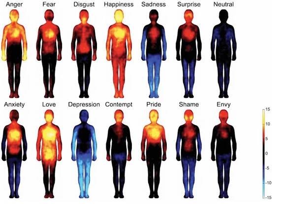 Where Do You Feel That Emotion In Your Body? - Raised Vibration