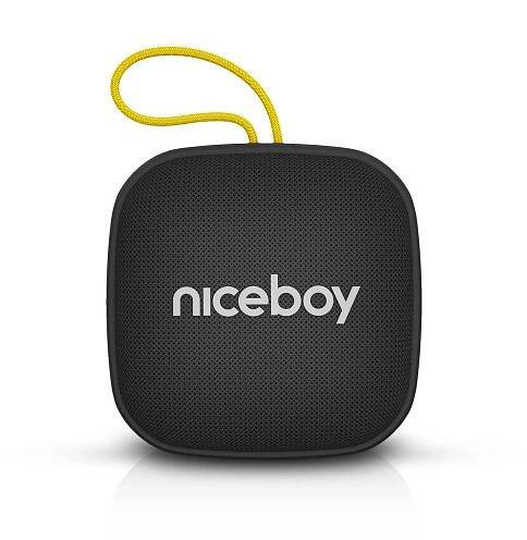 Niceboy Raze Mini 4