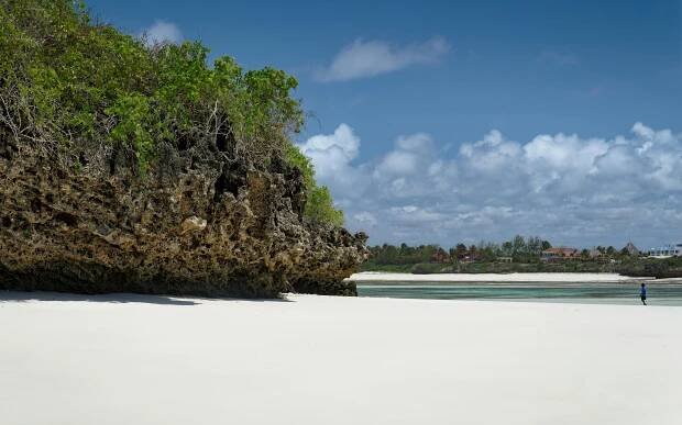 10+ nejlepších fotografií na téma Watamu · 100% bezplatné stažení · Základové fotografie Pexels