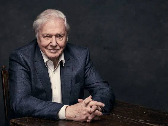 Why David Attenborough is a national treasure