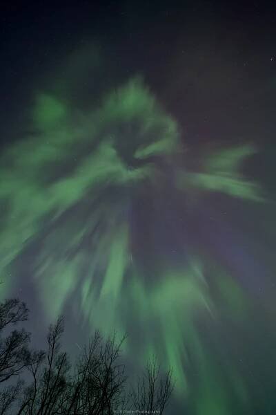 Aurora Borealis - Jill Beim Nature & Conservation Photography