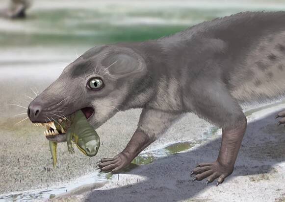 Chthonosaurus
