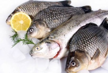 Čerstvé ryby na bílém pozadí s ledem a citronem — Stock Fotografie © diamant24 #24548973