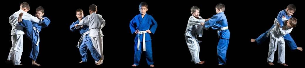 Úvodní obrázek Judo Best Motion