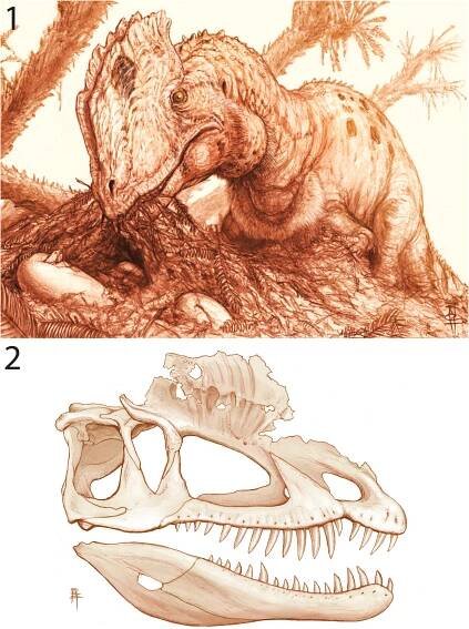 A comprehensive anatomical and phylogenetic evaluation of Dilophosaurus wetherilli (Dinosauria, Theropoda) with descriptions