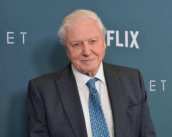 Sir David Attenborough at a Netflix premiere.