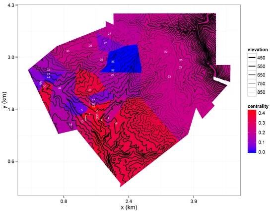 Elevation contour map overlaying a Thiessen polygon map of observation nodes (labeled in white). The polygons are colored by the degree centrality (a graph-theoretic measure) of its node.