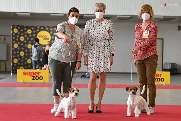 POSUZOVÁNÍ – Jack Russell teriér od Hadího potoka