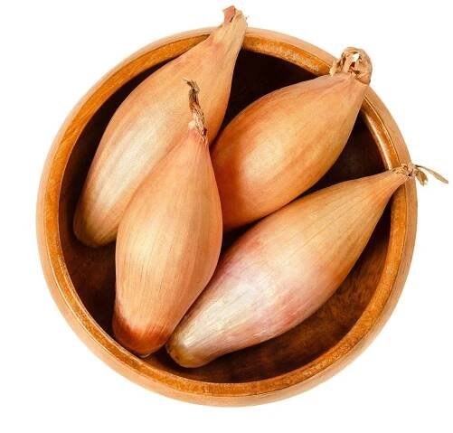 Cibule šalotka Longor - Allium cepa - prodej cibulek - 10 ks