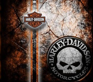 Harley Davidson Motorcycle Skull Logo Background