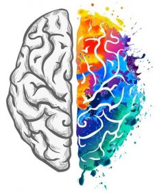 mozek-homepage