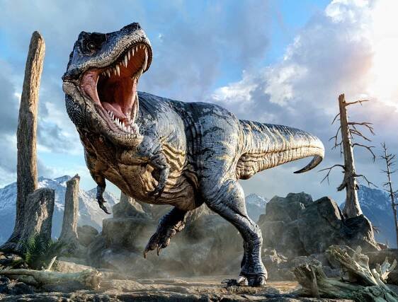 T. rex may have had brains and brawn