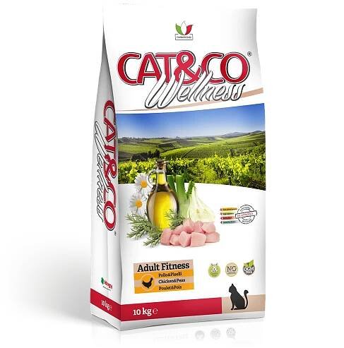 Cat&Co - Adma International Ltd