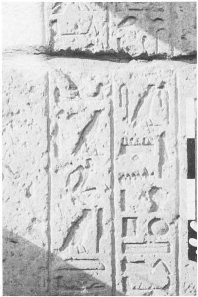 On THE MoasitE INSCRIPTIONS OF RAMESSES II AT LUxOR TEMPLE  Fic. 3.—Detail photograph of Section A IV 